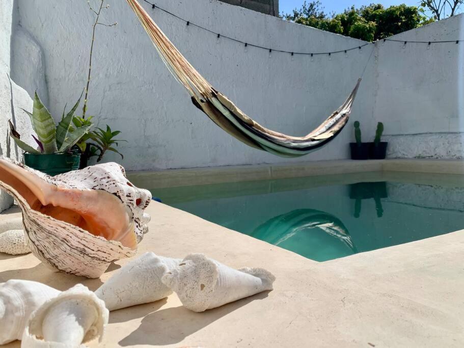 Casita Azul Colonial En El Centro De Merida. Экстерьер фото
