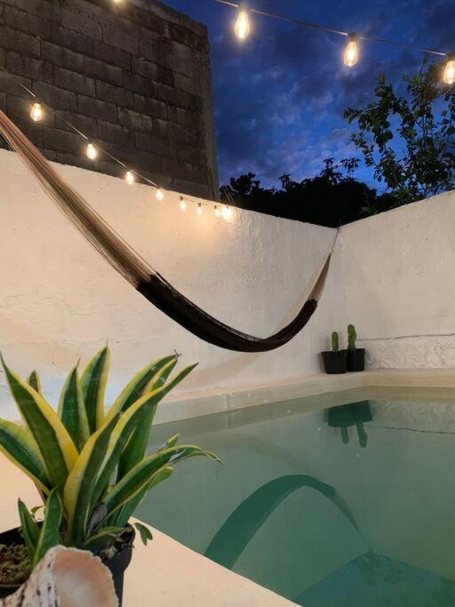 Casita Azul Colonial En El Centro De Merida. Экстерьер фото