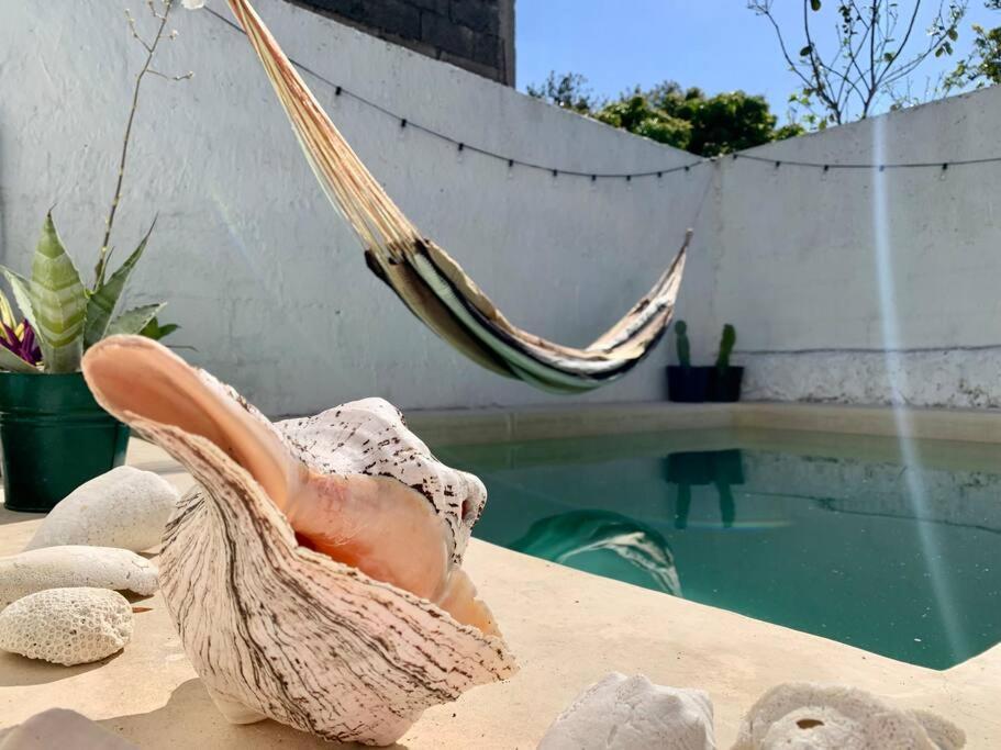 Casita Azul Colonial En El Centro De Merida. Экстерьер фото